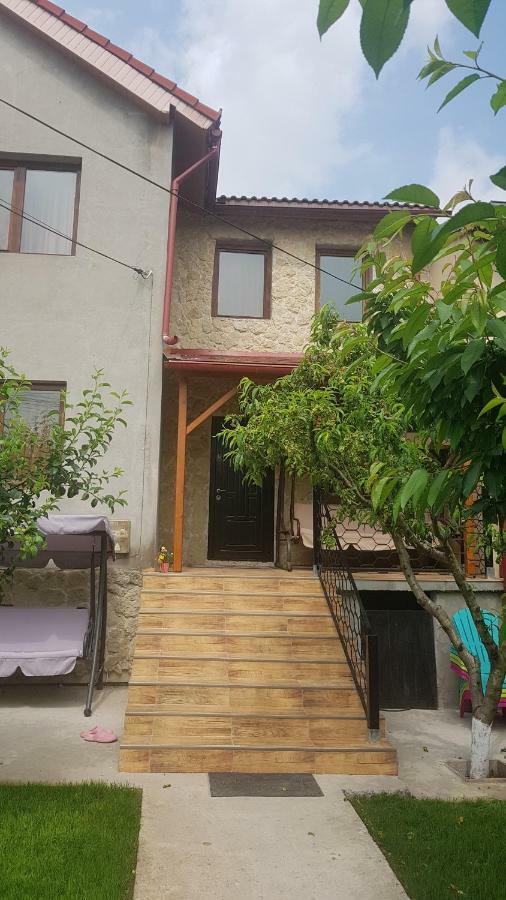 Hotel Casa Andrei Techirghiol Exterior foto